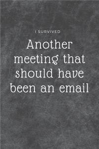 I survived another meeting