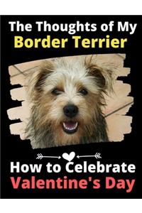 Thoughts of My Border Terrier