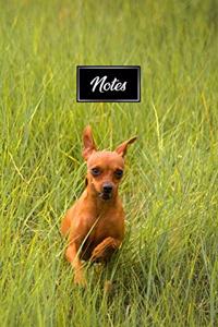 Chihuahua Dog Pup Puppy Doggie Notebook Bullet Journal Diary Composition Book Notepad - Running on Grass