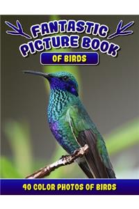 Fantastic Picture Book of Birds. 40 Color Photos of Birds