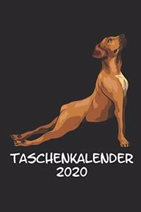 Taschenkalender 2020