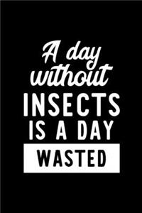 A Day Without Insects Is A Day Wasted
