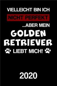 Golden Retriever 2020