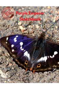 Purple Emperor Sketchbook