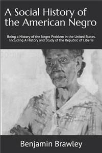 A Social History of the American Negro