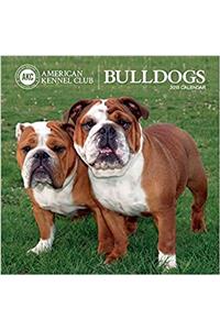Bulldogs American Kennel Club 2018 Wall Calendar