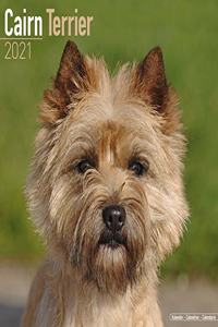 Cairn Terrier 2021 Wall Calendar