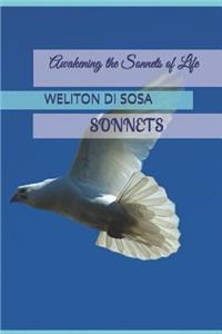 Awakening the Sonnets of Life