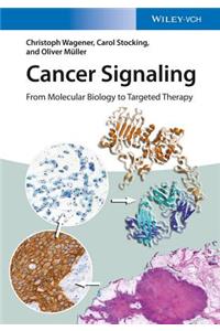 Cancer Signaling