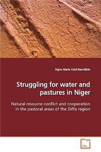 Struggling for water and pastures in Niger