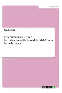 Reliefbildung an Küsten - Fachwissenschaftliche und fachdidaktische Betrachtungen