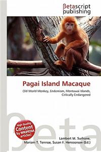 Pagai Island Macaque
