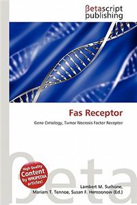 Fas Receptor