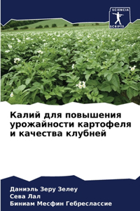 Калий для повышения урожайности картофе