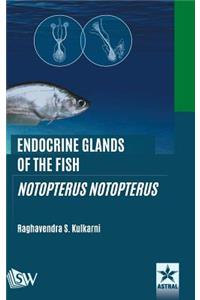 Endocrine Glands of the Fish