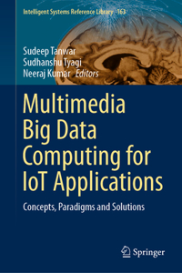 Multimedia Big Data Computing for Iot Applications