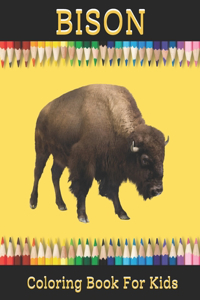 Bison Coloring book for Kids