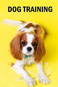 Dog Training