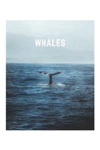 Whales