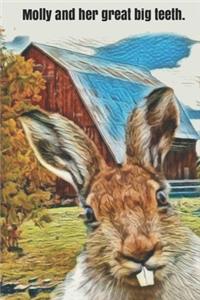 Molly and her great big teeth