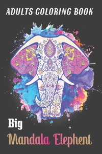Adults Coloring Book Big Mandala Elephent