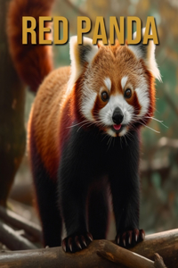 Red Panda