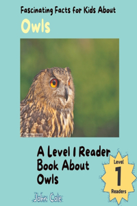 Fascinating Facts for Kids About Owls