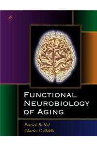 Functional Neurobiology of Aging