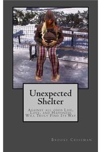Unexpected Shelter