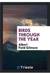 Birds Through the Year