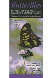 Butterflies of South Texas Incl. the Lower Rio Grande Valley
