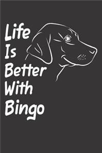 Life Is Better With Bingo