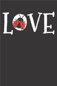 Ladybug Notebook
