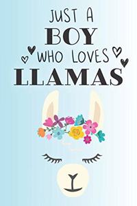 Just A Boy Who Loves Llamas