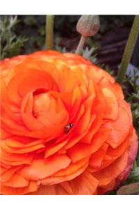 Ranunculus Gardening Journal