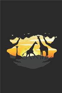 Giraffe Safari