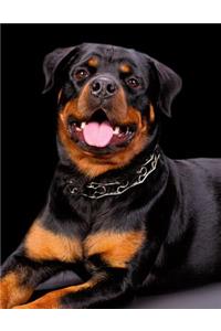 Rottweiler Notebook