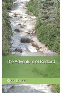 Adventure of Redbird