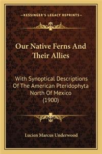 Our Native Ferns And Their Allies
