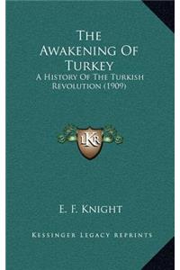 Awakening Of Turkey