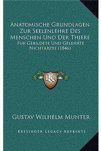 Anatomische Grundlagen Zur Seelenlehre Des Menschen Und Der Thiere