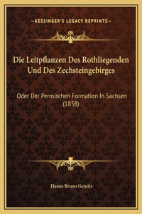 Die Leitpflanzen Des Rothliegenden Und Des Zechsteingebirges