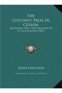 The Coconut Palm In Ceylon