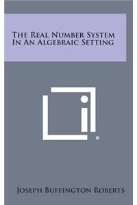 Real Number System in an Algebraic Setting