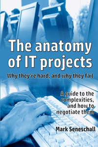 anatomy of IT projects