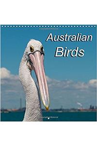 Australian Birds 2017
