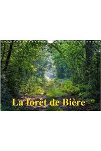 La Foret De Biere 2018