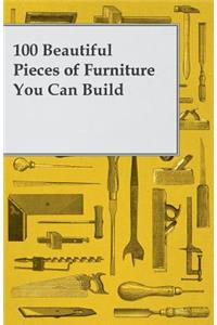 100 Beautiful Pieces of Furniture You Can Build