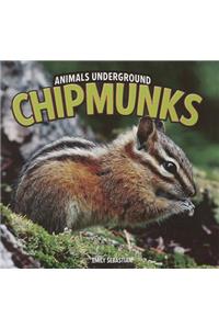 Chipmunks