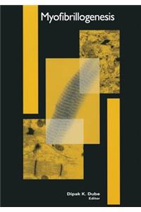 Myofibrillogenesis
